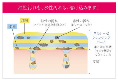 図解。油汚れも水性の汚れも溶け込む理由